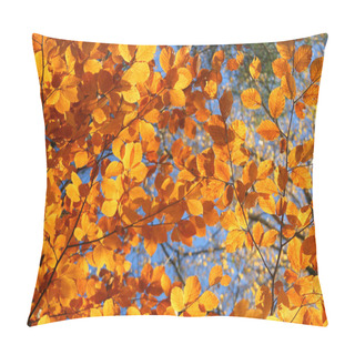 Personality  Vivid Fall Trees Pillow Covers