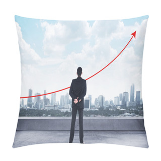 Personality  Business Man Looking To The Graph Pillow Covers