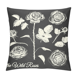 Personality  THE WILD ROSES - Hand Drawn Illustrations - Chalkboard Pillow Covers