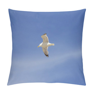 Personality  Flying European Herring Gull, Yellow, Eye Yellow Beak Pillow Covers
