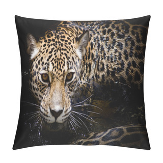 Personality  Jaguar Portrait Pillow Covers