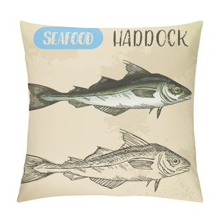 Personality  Sketch Of Haddock Fish. Underwater Wildlife Or Seafood Pillow Covers