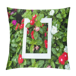 Personality  Flat Lay Color Flowers Plants With Copy Space White Frame F Pillow Covers