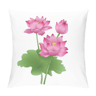 Personality  Lotus Flowers On A White Background, The Stages Of Bud Opening, A Beautiful Flower, An Aquatic Plant. Pillow Covers