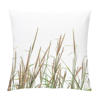 Personality  Foxtail Flower Isolated For Background Pillow Covers