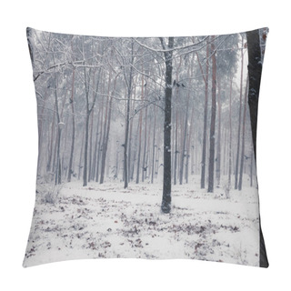 Personality  Ravens Sitting On A Snowy Tree In The Winter Forest. Pillow Covers