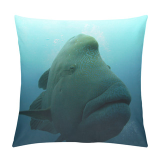Personality  Napoleon Fish Pillow Covers