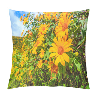 Personality  Beautiful Mexican Sunflowers Pillow Covers