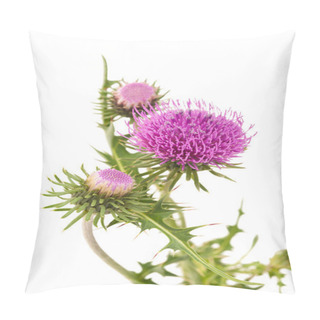 Personality  Thistles Pillow Covers