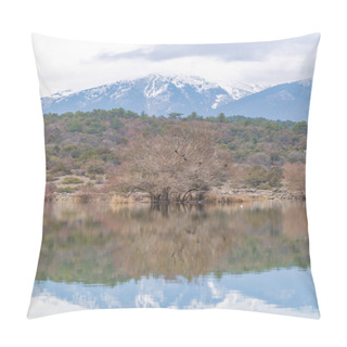 Personality  Bursa Uludag Gokoz Pond Mountain Reflection With Clouds And Natural Vegetation Pillow Covers