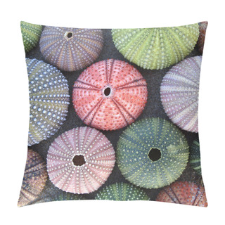 Personality  Variety Of Colorful Sea Urchins Pillow Covers