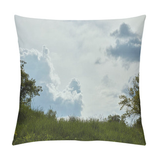 Personality  Low Angle View Of Green Grass With Bushes Under Blue Peaceful Sky With White Clouds Pillow Covers
