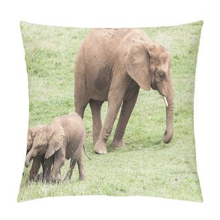 Personality  Indian Elephant Herd Pillow Covers