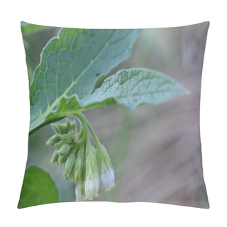 Personality  Common Comfrey (Symphytum Officinale) Pillow Covers
