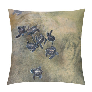 Personality  Little Sea Turtles Pillow Covers
