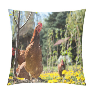 Personality  Laying Hens Pillow Covers