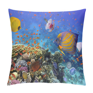 Personality  Coral Reef And Tropical Fish In The Red Sea Pillow Covers