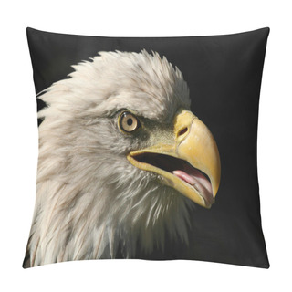Personality  Portrait Of An American Bald Eagle Isolated On Black Pillow Covers