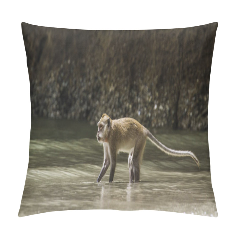 Personality  Crab-eating Macaque In Hat Chao Mai National Park, Thailand Pillow Covers