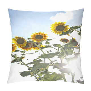 Personality  Beautiful Yellow Common Sunflowers Pillow Covers