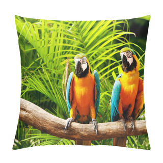 Personality  Colourful Parrot Bird Sitting On The Perch Pillow Covers