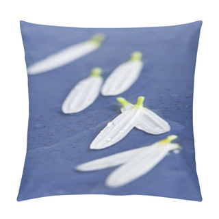 Personality  Flower Petals With Water Drops Pillow Covers
