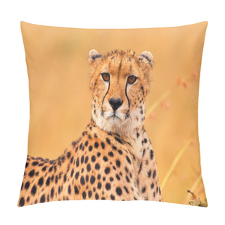 Personality  Male Cheetah In Masai Mara Pillow Covers