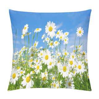 Personality  White Daisies Pillow Covers
