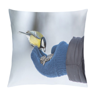 Personality  Tit Eats Sunflower Seeds From A Hand. Pillow Covers