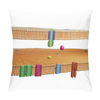 Personality  Membrane Protein Channels At A Double Lipid Bilayer Cell Membrane. Cell Membrane, 3D Rendering. Pillow Covers