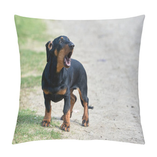 Personality  The Dachshund Is Standing On A Dirt Road And Barking Pillow Covers