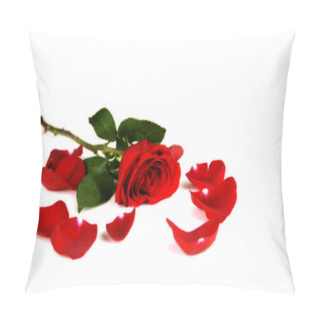 Personality  Single Long Stemmed Tose Pillow Covers