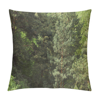 Personality  Aerial View Of Green Pines Trees At Daytime In Forest Pillow Covers