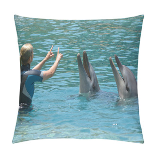 Personality  Instructor Interact With Dolphin Pillow Covers