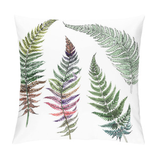 Personality  Fern Green Leaf. Plant Botanical Foliage. Watercolor Background Illustration Set. Isolated Fern Illustration Element. Pillow Covers