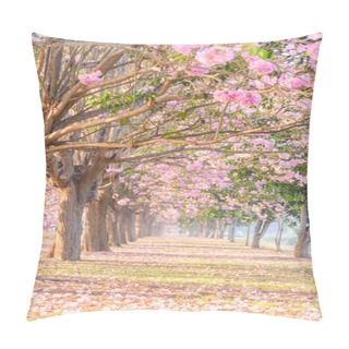 Personality  Pink Trumpet Tree Row With Mist In Sunrise Time / Pink Trumpet With Sunrise Pillow Covers