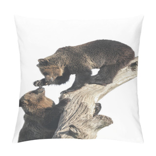 Personality  Two Playful Bears Climbing On The Tree Pillow Covers