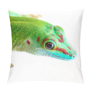 Personality  Gecko Head Close-up On A White Background. Pillow Covers