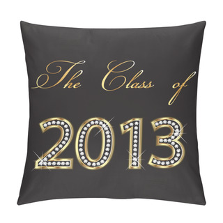 Personality  The Class Of 2013 Pillow Covers