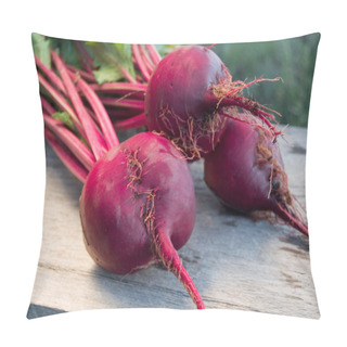 Personality  Fresh Beets Pillow Covers
