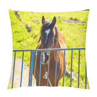 Personality  Brown Horse On A Farm On Countryside In Springtime Pillow Covers