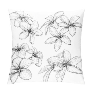 Personality  Plumeria.Tropical Necklace Flowers. Pillow Covers