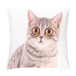 Personality  Young Funny Surprised Cat Closeup Isolated On White Pillow Covers