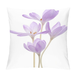 Personality  Colchicum Flowers Pillow Covers