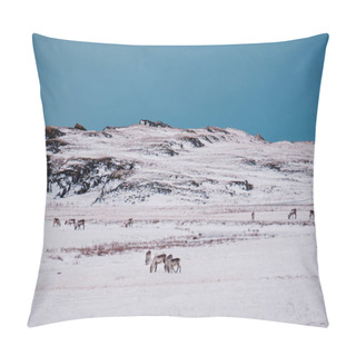 Personality  Icelandic Reindeers Grazing Near The Glacier Lagoon In South East Iceland In Its Natural Winter Environment. Pillow Covers