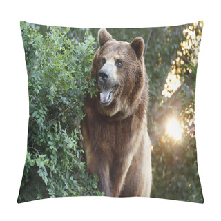Personality  Large Grizzly Bear With Setting Sun And Heavy Foilage Pillow Covers
