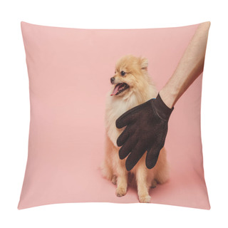Personality  Cropped View Of Man Combing Cute Spitz Dog With Grooming Rubber Glove On Pink Pillow Covers
