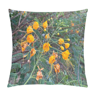 Personality  Vibrant Orange Flowers With Delicate Petals And Green Foliage Background. Pillow Covers