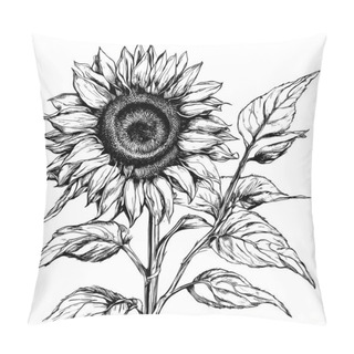 Personality  Sunflower Flower Sketch. Floral Botanical Flower. Isolated Illustration Element. Vector Drawing Wildflower For Background, Texture, Wrapper Pattern. Pillow Covers