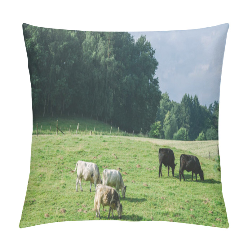 Personality  Cows Pillow Covers